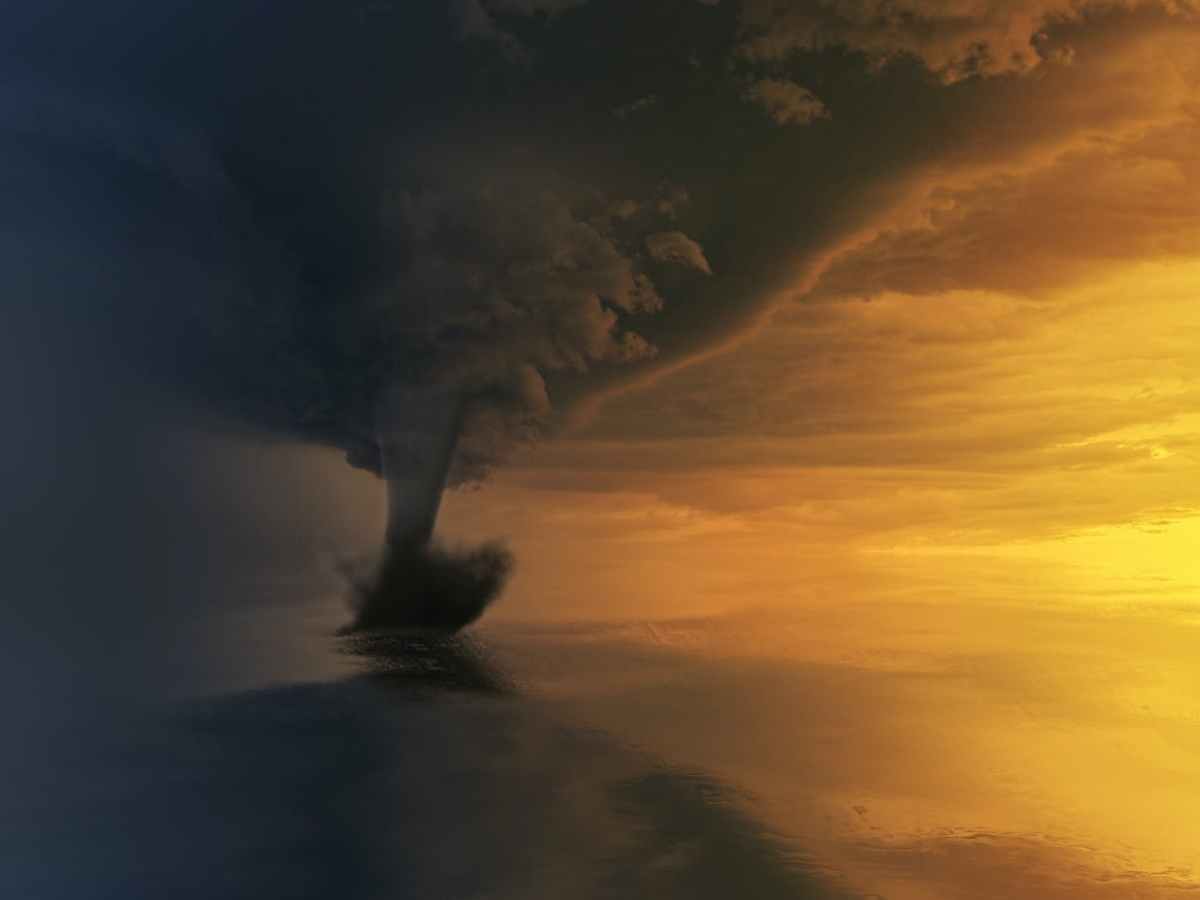 A Whirlwind of&nbsp;Appointments